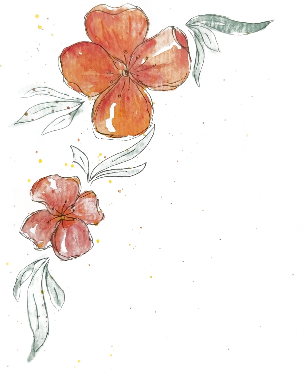 Hand-painted watercolour flowers in coral and peach with sage leaves